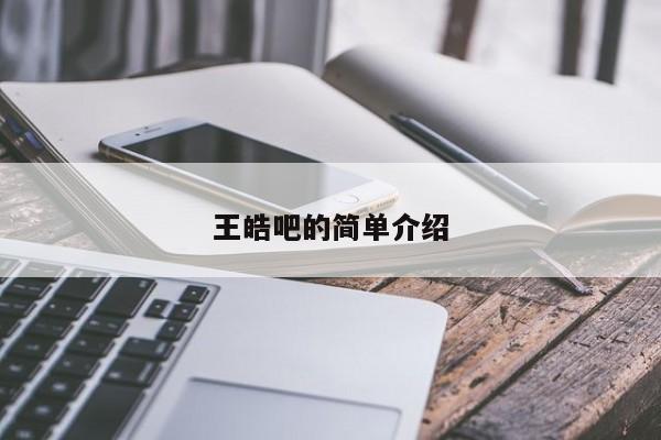王皓吧的简单介绍